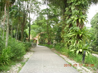 Malaysia - Kuala Lumpur - KL Bird Park path