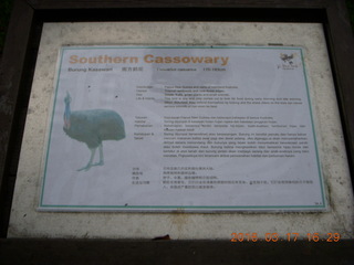 175 99h. Malaysia - Kuala Lumpur - KL Bird Park - cassowary sign