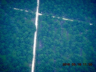 aerial near Kuala Lumpur
