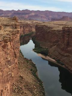 Doreen pic from Navajo Bridge