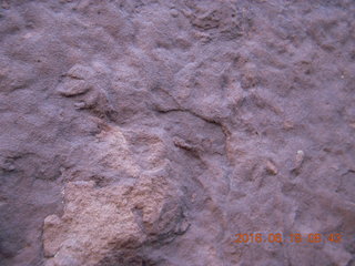 Zeb's dinosaur tour - footprint