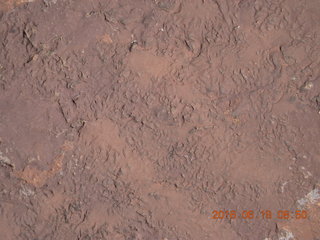 Zeb's dinosaur tour - footprints