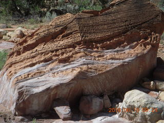 Zeb's dinosaur tour cool rock