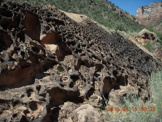 Zeb's dinosaur tour rock art - petroglyphs