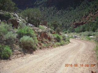 Zeb's dinosaur tour - rock art petroglypghs