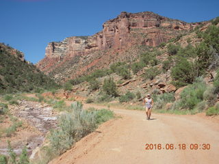 Zeb's dinosaur tour - Kelsey, cool rock