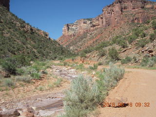 Zeb's dinosaur tour - dirt road