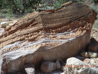 Zeb's dinosaur tour - footprints