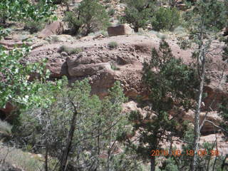 Zeb's dinosaur tour - interesting rock on top