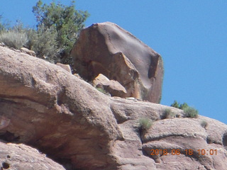 67 9cj. Zeb's dinosaur tour - rock art on the right