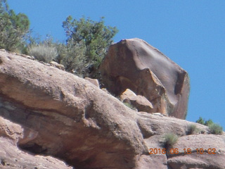 Zeb's dinosaur tour - rock art on the right