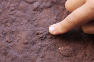 Zeb's dinosaur tour - rock art on the right