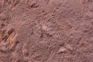 83 9cj. Zeb's dinosaur tour - footprint