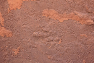 Zeb's dinosaur tour - footprint