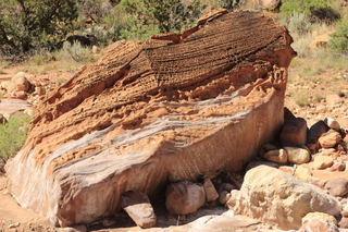 Zeb's dinosaur tour - cool rock