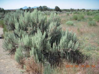 Lowry Pueblo Landmark