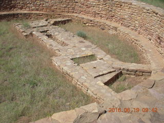 Lowry Pueblo Landmark lizard