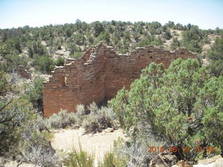 194 9ck. Cutthroat Castle