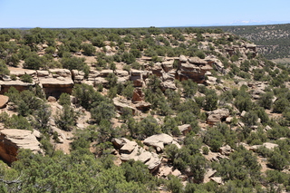 Hovenweep National Monument canyon