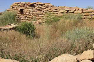 Lowry Pueblo + giant dandylion