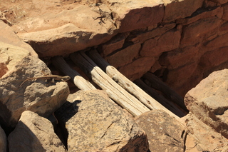 Lowry Pueblo - lizard