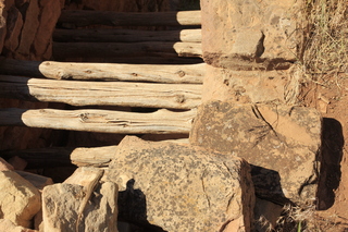 Lowry Pueblo - lizard