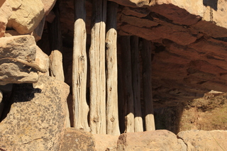 Lowry Pueblo - lizard