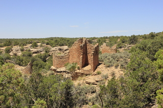 Lowry Pueblo - lizard