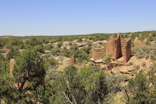 Lowry Pueblo - lizard