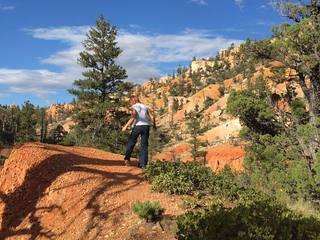 Piper external starter cable