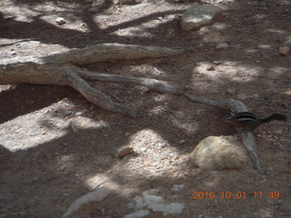 Bryce Canyon weekend - Ana's pictures