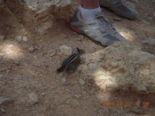 Bryce Canyon weekend - Ana's pictures