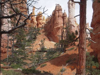Bryce Canyon weekend - Ana's pictures