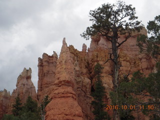 Bryce Canyon weekend - Ana's pictures