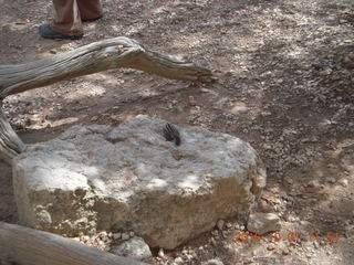Bryce Canyon weekend - Ana's pictures