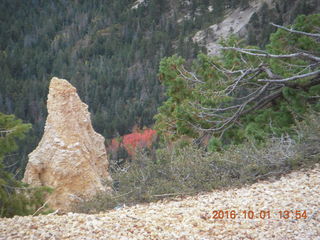 Bryce Canyon - Queens Garden hike