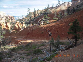 2988 9g1. Bryce Canyon - Fairyland hike - Adam