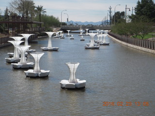 Scottsdale canal ornaments