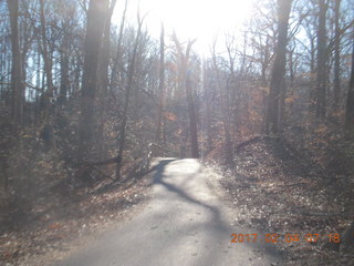 Pennypack Park run
