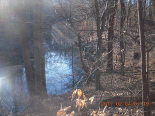 Pennypack Park run