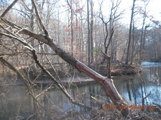 Pennypack Park run