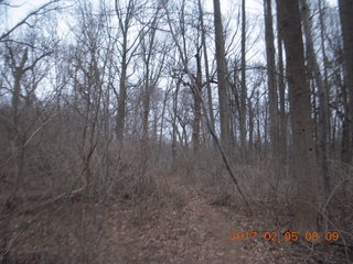 Pennypack Park run