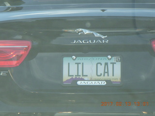 LIL CAT license plate