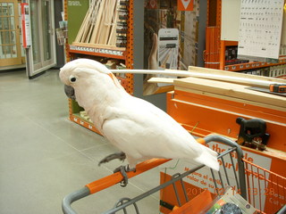 Scottsdale spinning sculpture