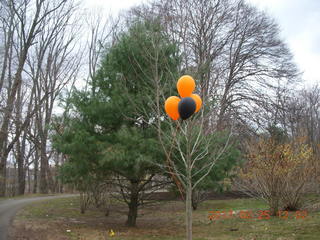Princeton Alumni Day - lunch