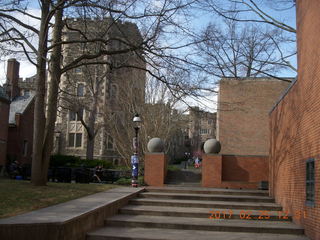 Princeton Alumni Day- Fine Hall - view