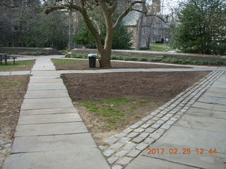Princeton Alumni Day - Pyne Hall