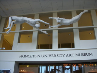 Princeton Alumni Day - Art Museum