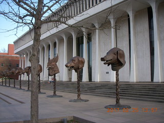 Princeton Alumni Day - Art Museum