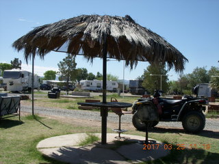 Alamo Lake oasis